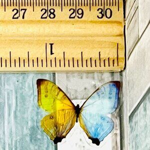 🌀10/$10🌀 Butterfly Translucent Waterproof Sticker Decal